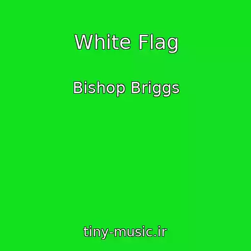 کاور آهنگ White Flag از Bishop Briggs