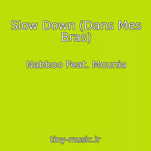 کاور آهنگ Slow Down (Dans Mes Bras) از Nabboo Feat. Mounia