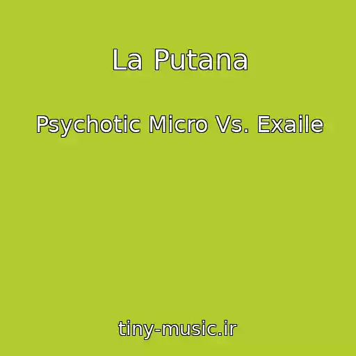کاور آهنگ La Putana از Psychotic Micro Vs. Exaile