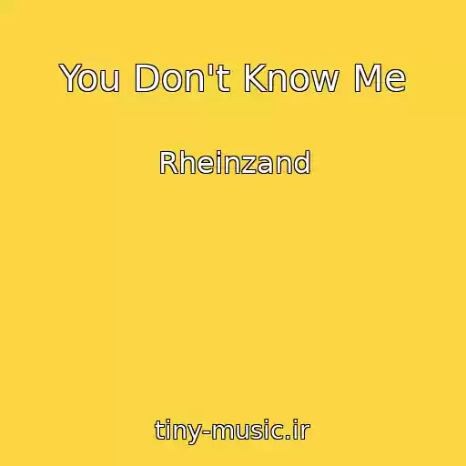 کاور آهنگ You Don't Know Me از Rheinzand