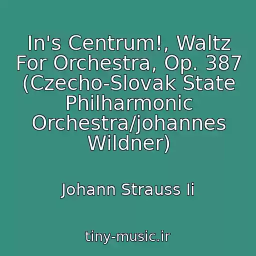 کاور آهنگ In's Centrum!, Waltz For Orchestra, Op. 387 (Czecho-Slovak State Philharmonic Orchestra/johannes Wildner) از Johann Strauss Ii