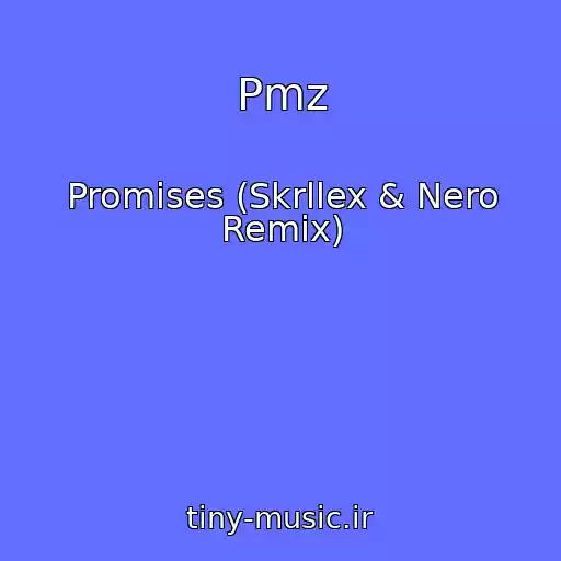 کاور آهنگ Pmz از Promises (Skrllex & Nero Remix)
