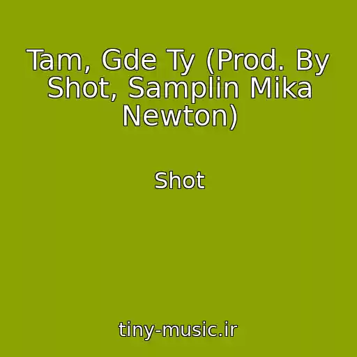 کاور آهنگ Tam, Gde Ty (Prod. By Shot, Samplin Mika Newton) از Shot
