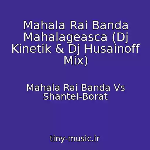 کاور آهنگ Mahala Rai Banda Mahalageasca (Dj Kinetik & Dj Husainoff Mix) از Mahala Rai Banda Vs Shantel-Borat