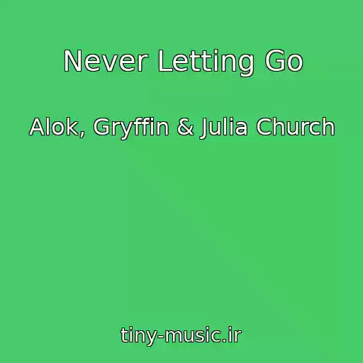 کاور آهنگ Never Letting Go از Alok, Gryffin & Julia Church