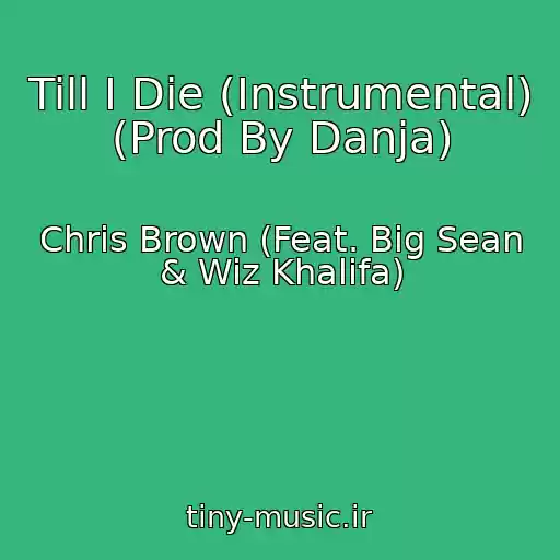 کاور آهنگ Till I Die (Instrumental) (Prod By Danja) از Chris Brown (Feat. Big Sean & Wiz Khalifa)