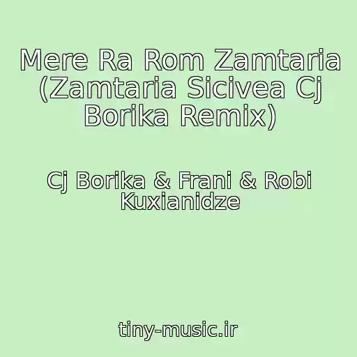 کاور آهنگ Mere Ra Rom Zamtaria (Zamtaria Sicivea Cj Borika Remix) از Cj Borika & Frani & Robi Kuxianidze