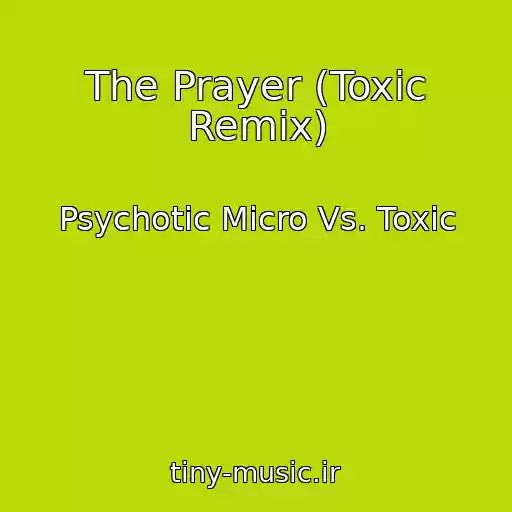 کاور آهنگ The Prayer (Toxic Remix) از Psychotic Micro Vs. Toxic
