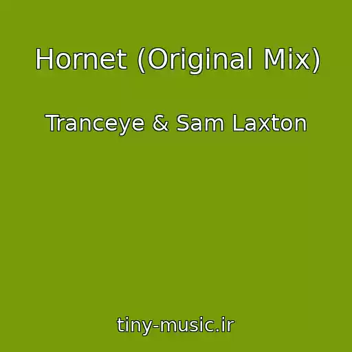 کاور آهنگ Hornet (Original Mix) از Tranceye & Sam Laxton