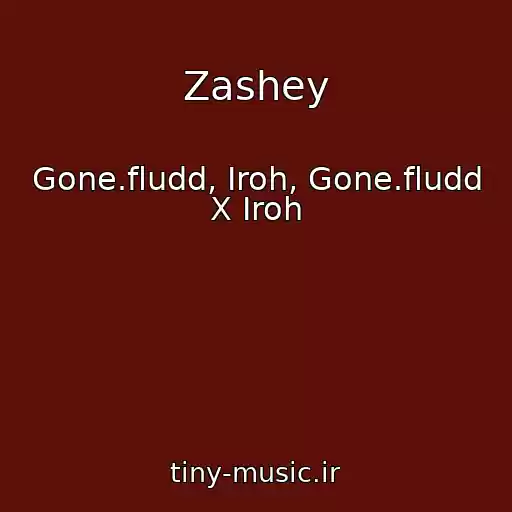 کاور آهنگ Zashey از Gone.fludd, Iroh, Gone.fludd X Iroh