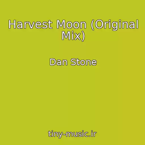 کاور آهنگ Harvest Moon (Original Mix) از Dan Stone