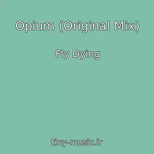 کاور آهنگ Opium (Original Mix) از Fly Dying