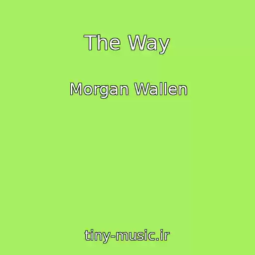 کاور آهنگ The Way از Morgan Wallen
