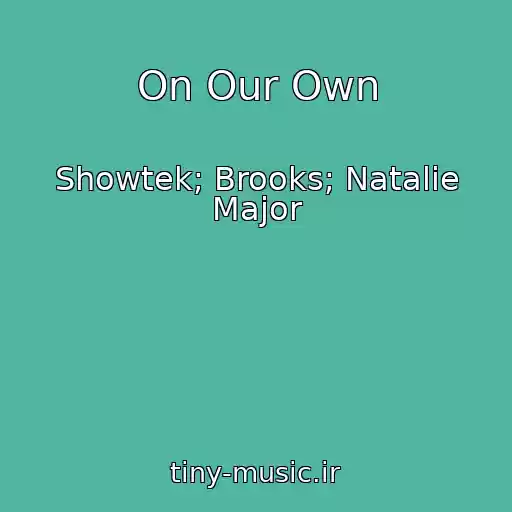 کاور آهنگ On Our Own از Showtek; Brooks; Natalie Major
