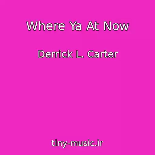 کاور آهنگ Where Ya At Now از Derrick L. Carter
