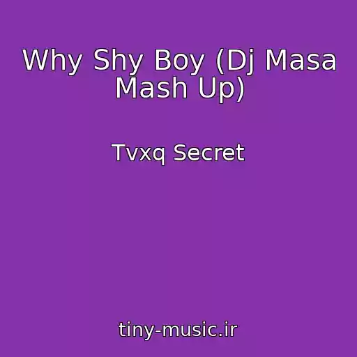 کاور آهنگ Why Shy Boy (Dj Masa Mash Up) از Tvxq Secret