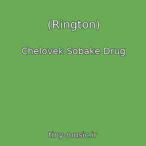 کاور آهنگ (Rington) از Chelovek Sobake Drug