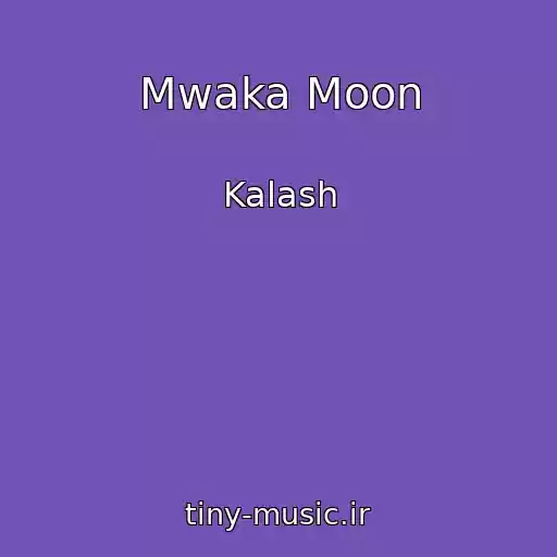کاور آهنگ Mwaka Moon از Kalash