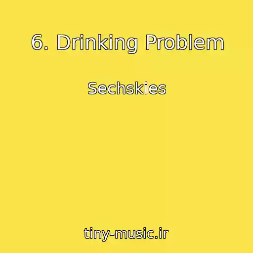 کاور آهنگ 6. Drinking Problem از Sechskies