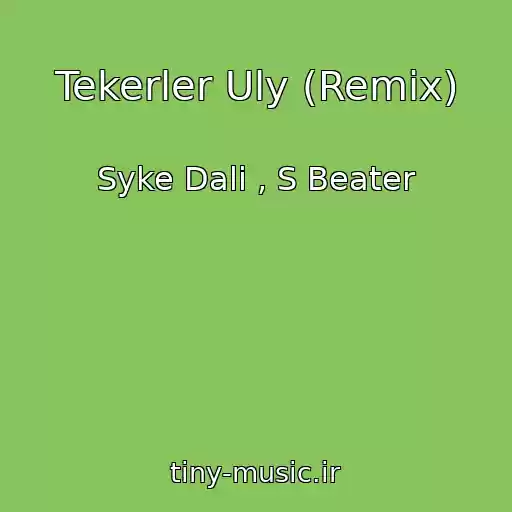 کاور آهنگ Tekerler Uly (Remix) از Syke Dali , S Beater