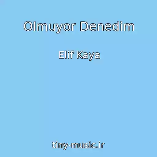 کاور آهنگ Olmuyor Denedim از Elif Kaya