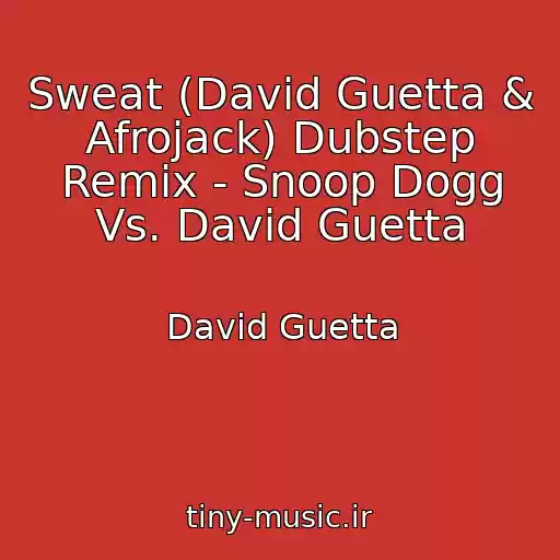 کاور آهنگ Sweat (David Guetta & Afrojack) Dubstep Remix - Snoop Dogg Vs. David Guetta از David Guetta