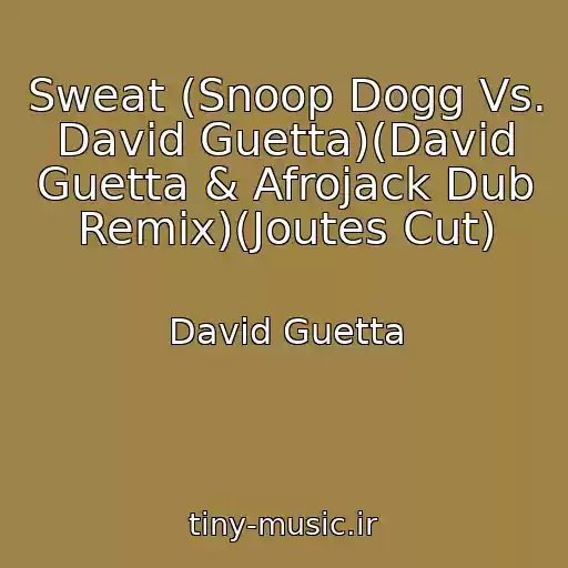 کاور آهنگ Sweat (Snoop Dogg Vs. David Guetta)(David Guetta & Afrojack Dub Remix)(Joutes Cut) از David Guetta