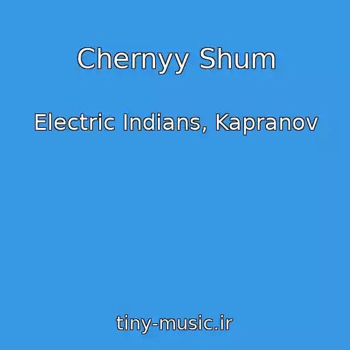 کاور آهنگ Chernyy Shum از Electric Indians, Kapranov