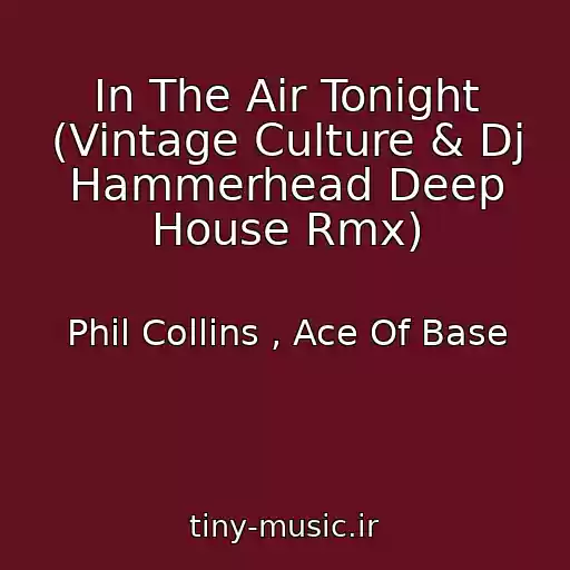 کاور آهنگ In The Air Tonight (Vintage Culture & Dj Hammerhead Deep House Rmx) از Phil Collins , Ace Of Base