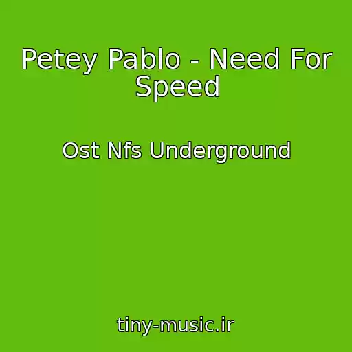 کاور آهنگ Petey Pablo - Need For Speed از Ost Nfs Underground