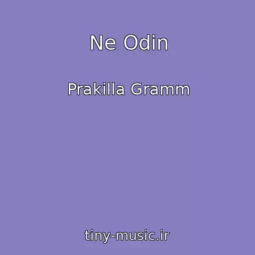 کاور آهنگ Ne Odin از Prakilla Gramm