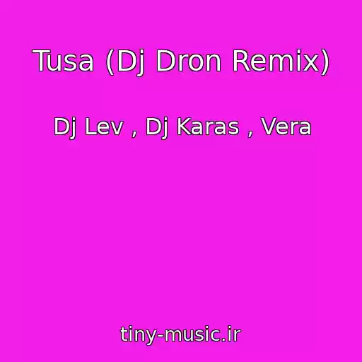 کاور آهنگ Tusa (Dj Dron Remix) از Dj Lev , Dj Karas , Vera