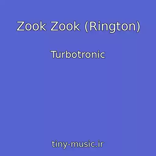 کاور آهنگ Zook Zook (Rington) از Turbotronic