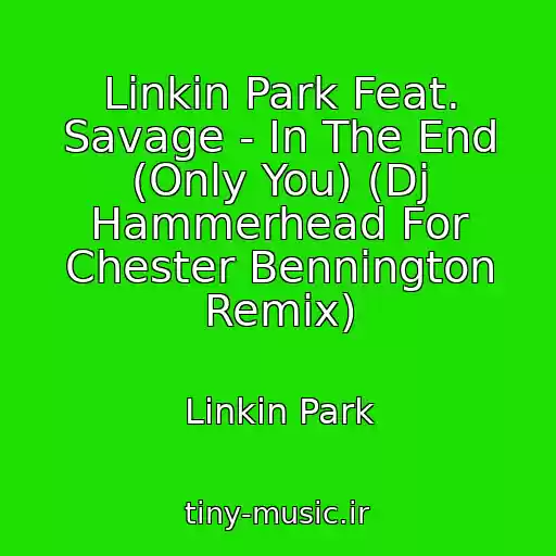 کاور آهنگ Linkin Park Feat. Savage - In The End (Only You) (Dj Hammerhead For Chester Bennington Remix) از Linkin Park