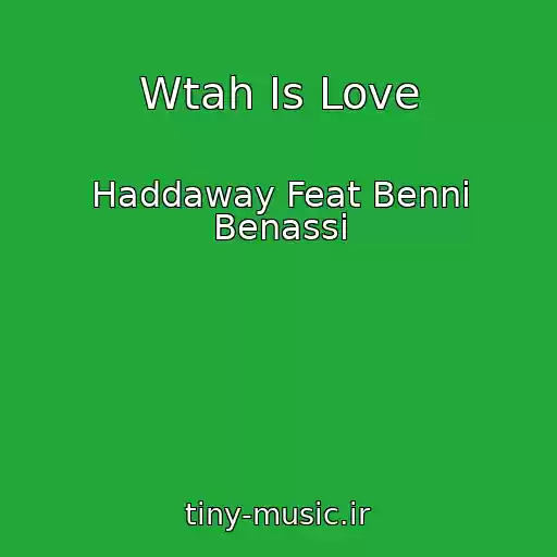 کاور آهنگ Wtah Is Love از Haddaway Feat Benni Benassi
