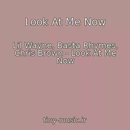 کاور آهنگ Look At Me Now از Lil Wayne, Basta Rhymes, Chris Brown - Look At Me Now