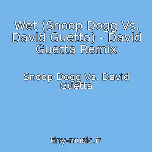 کاور آهنگ Wet (Snoop Dogg Vs. David Guetta) - David Guetta Remix از Snoop Dogg Vs. David Guetta
