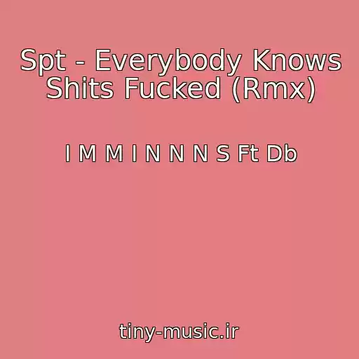 کاور آهنگ Spt - Everybody Knows Shits Fucked (Rmx) از I M M I N N N S Ft Db