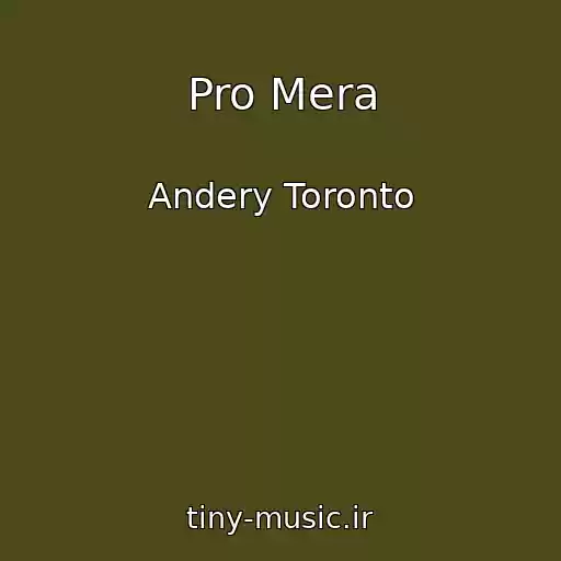 کاور آهنگ Pro Mera از Andery Toronto
