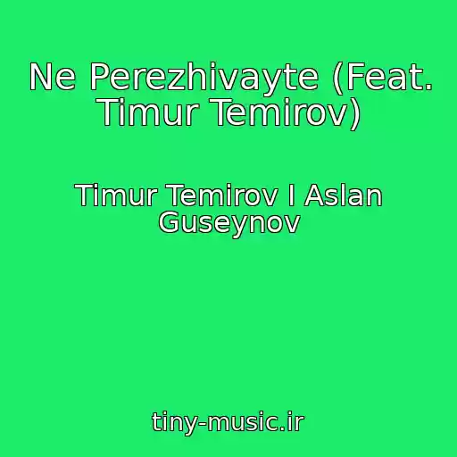 کاور آهنگ Ne Perezhivayte (Feat. Timur Temirov) از Timur Temirov I Aslan Guseynov