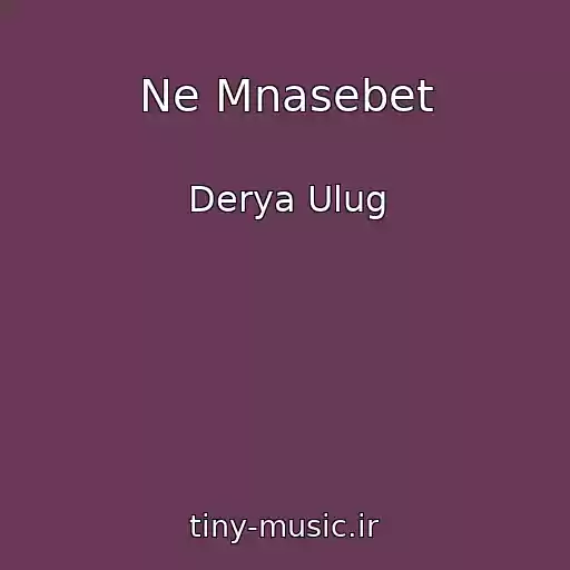 کاور آهنگ Ne Mnasebet از Derya Ulug