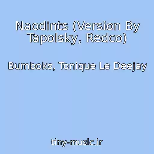 کاور آهنگ Naodints (Version By Tapolsky, Redco) از Bumboks, Tonique Le Deejay