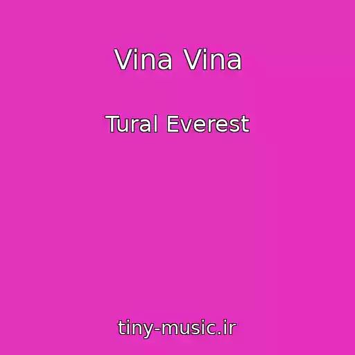 کاور آهنگ Vina Vina از Tural Everest