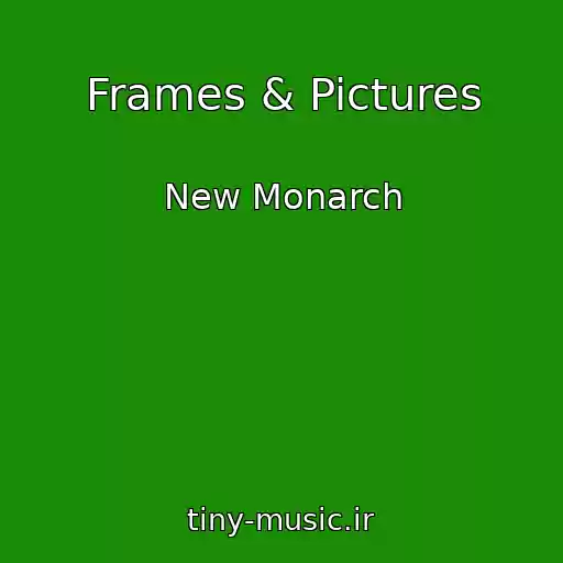کاور آهنگ Frames & Pictures از New Monarch