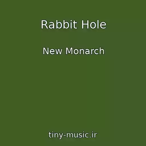 کاور آهنگ Rabbit Hole از New Monarch