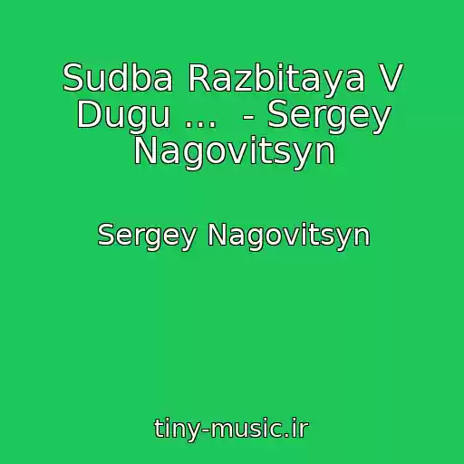 کاور آهنگ Sudba Razbitaya V Dugu ...  - Sergey Nagovitsyn از Sergey Nagovitsyn