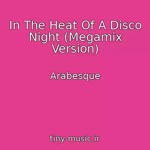 کاور آهنگ In The Heat Of A Disco Night (Megamix Version) از Arabesque