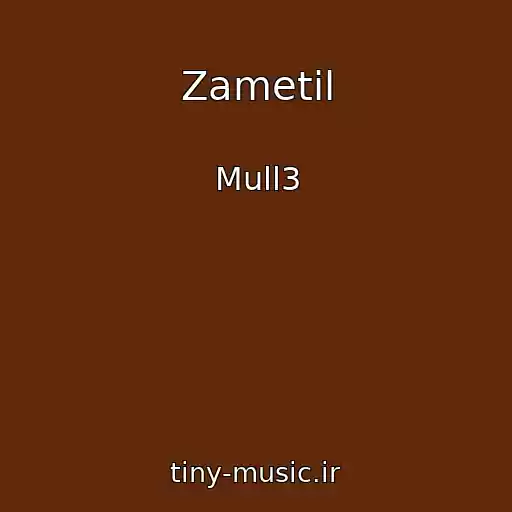 کاور آهنگ Zametil از Mull3