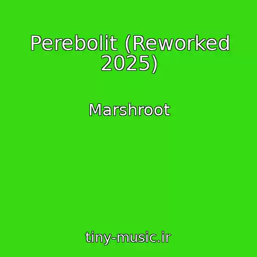 کاور آهنگ Perebolit (Reworked 2025) از Marshroot
