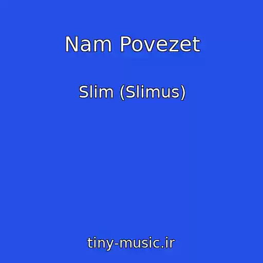 کاور آهنگ Nam Povezet از Slim (Slimus)
